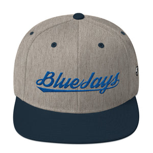 Southfield Blue Jays Gray Snapback Hat