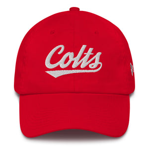 Northwestern Colts Dad Hat